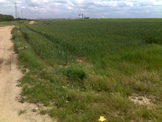 Fahradtour entlang des Grubenrandes