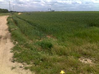 Fahradtour entlang des Grubenrandes