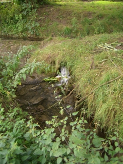 Wanderung durch das Niersquellgebiet