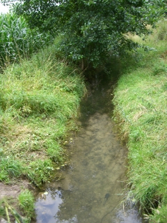 Wanderung durch das Niersquellgebiet