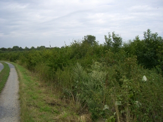 Wanderung durch das Niersquellgebiet