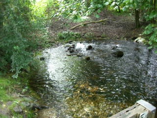 Wanderung durch das Niersquellgebiet