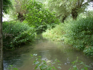 Wanderung durch das Niersquellgebiet