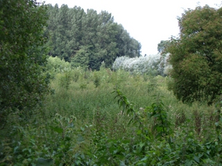 Wanderung durch das Niersquellgebiet