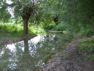 Wanderung durch das Niersquellgebiet