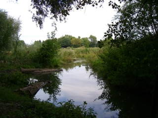 Wanderung durch das Niersquellgebiet