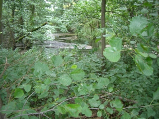 Wanderung durch das Niersquellgebiet