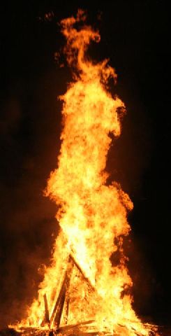 Feuerholz sammeln 7