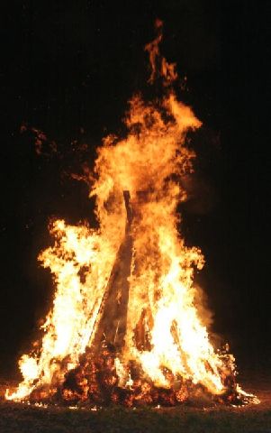 Feuerholz sammeln 8
